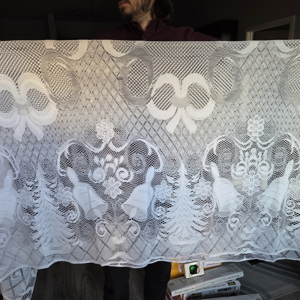 Elegant White Lace Curtain